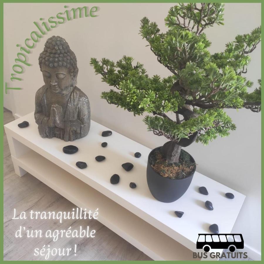 Tropicalissime - B&B