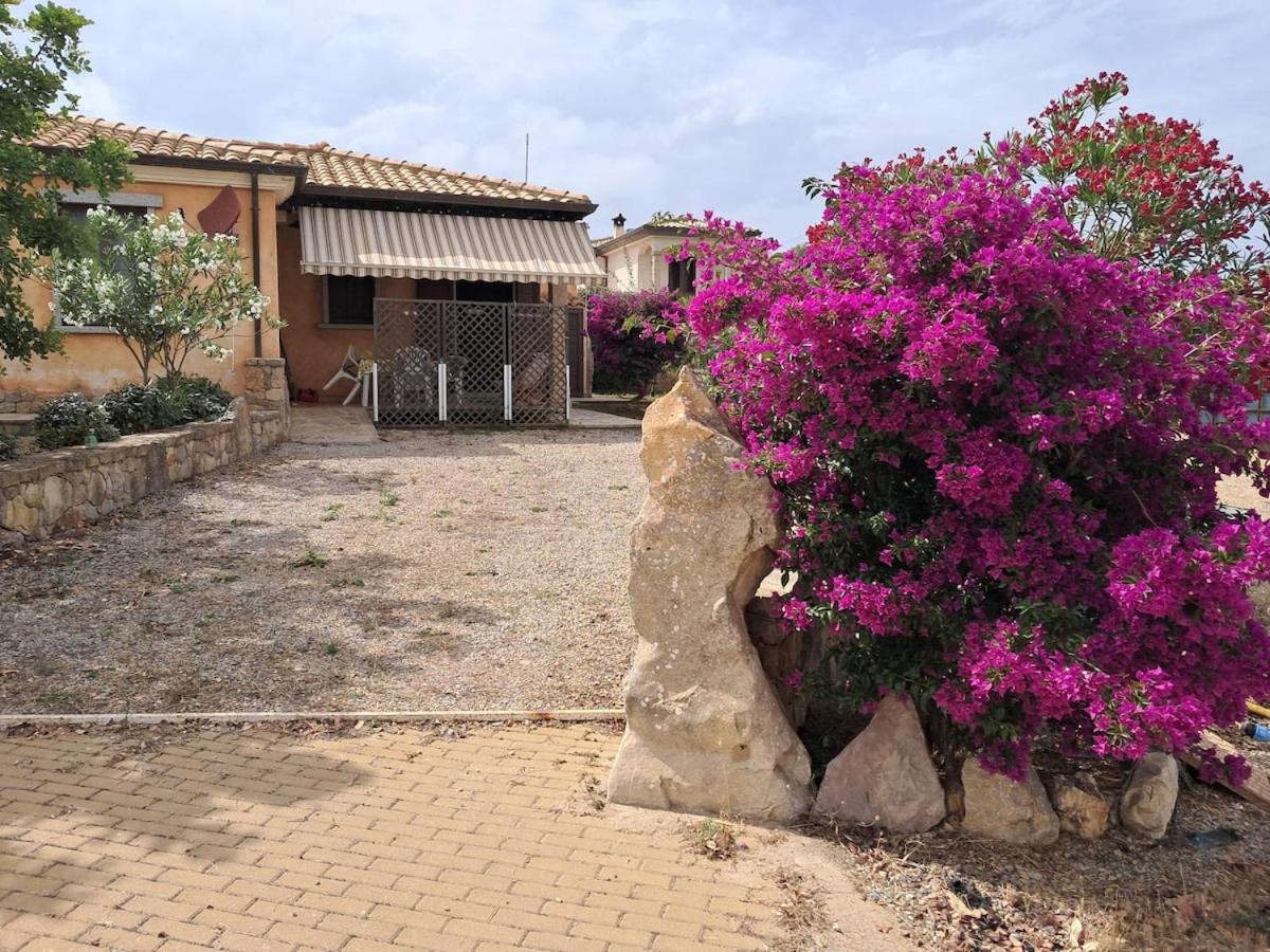Casa Vacanze TIO - Chambres d’hôtes Palmadula
