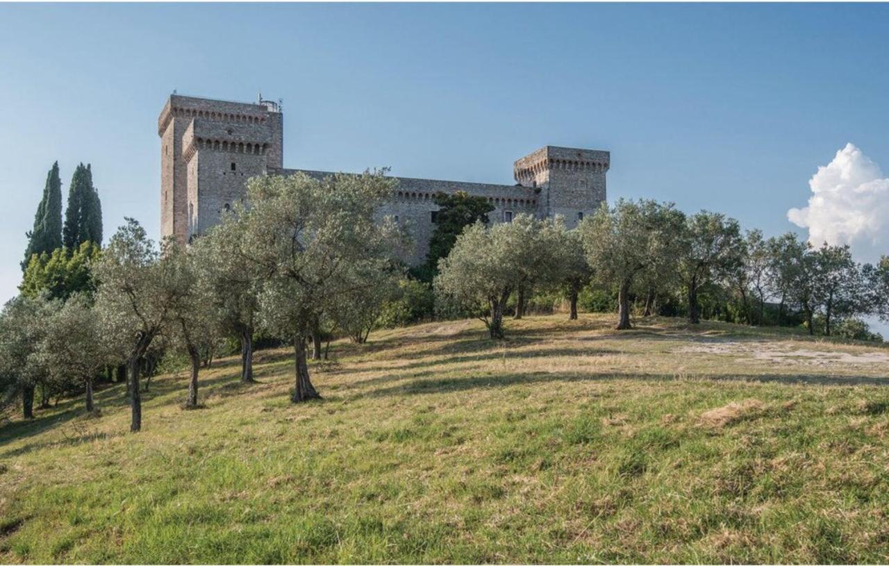 Casa Rosmarino, Ac, Wifi, Narni - B&B Narni