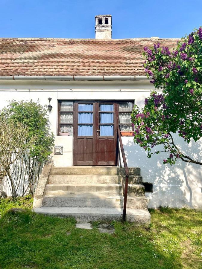 Tulipános Láda Vendégház - B&B Pula