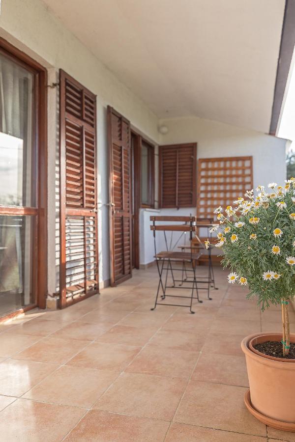 Guesthouse Green Istria - B&B Truscolo