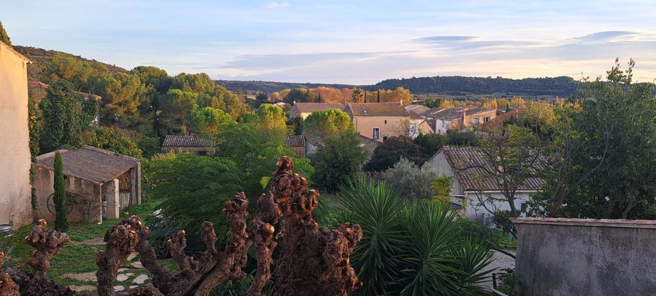 Gîte Plaissan- Chez Laure&Marc - B&B