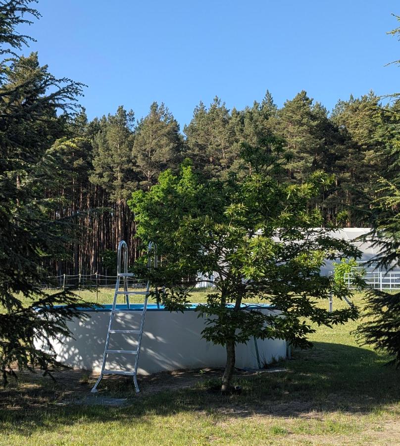 Pension zum Reiterhof, Fewo 1 - B&B Schmogrow