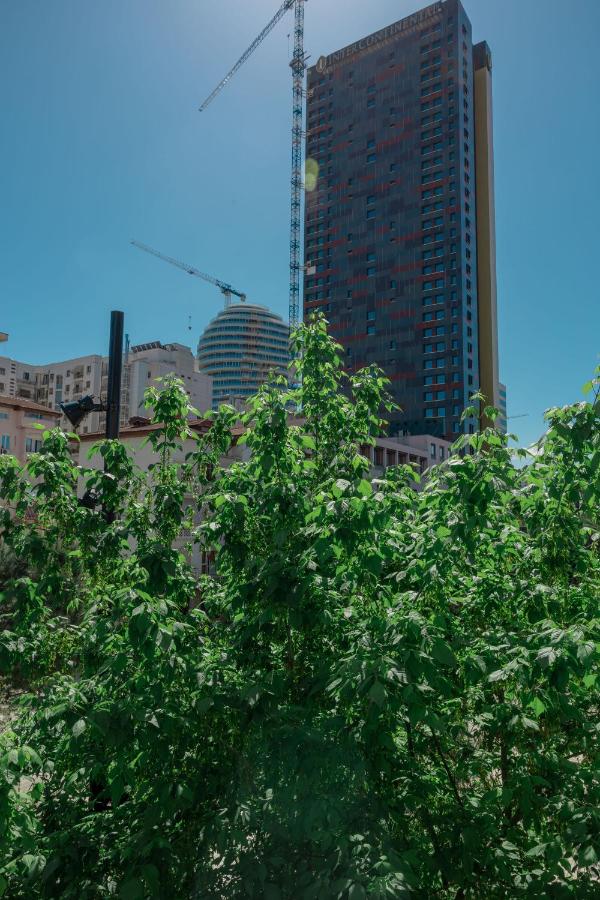 Apartment with City View