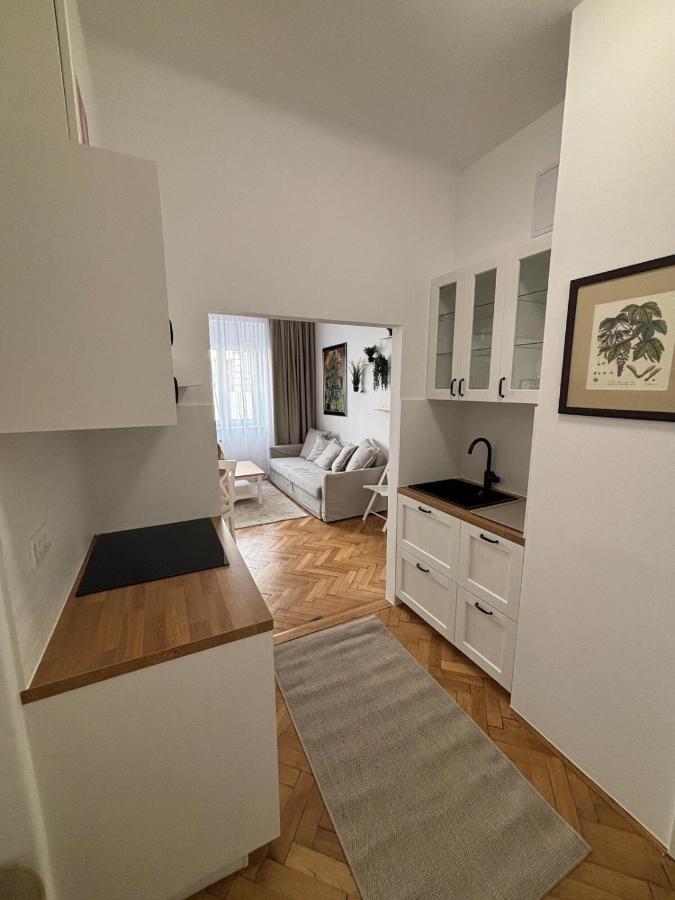 Trina apartment in the city centre - Chambres d'hôtes Ljubljana