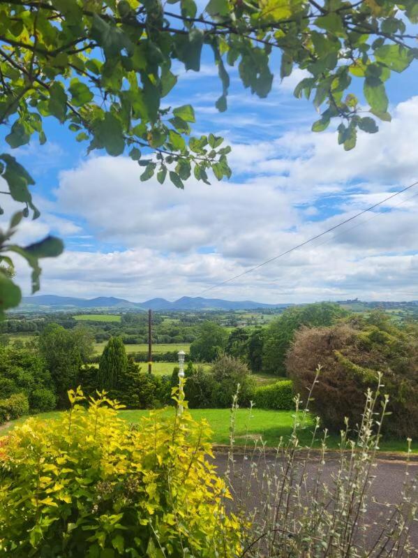 Hillbank Cottage - B&B