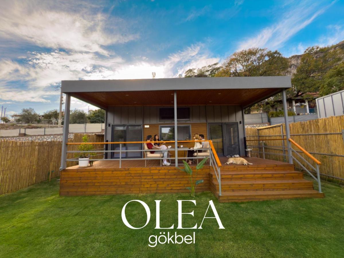 Marmaris Tiny House Olea Gökbel - B&B Marmaris