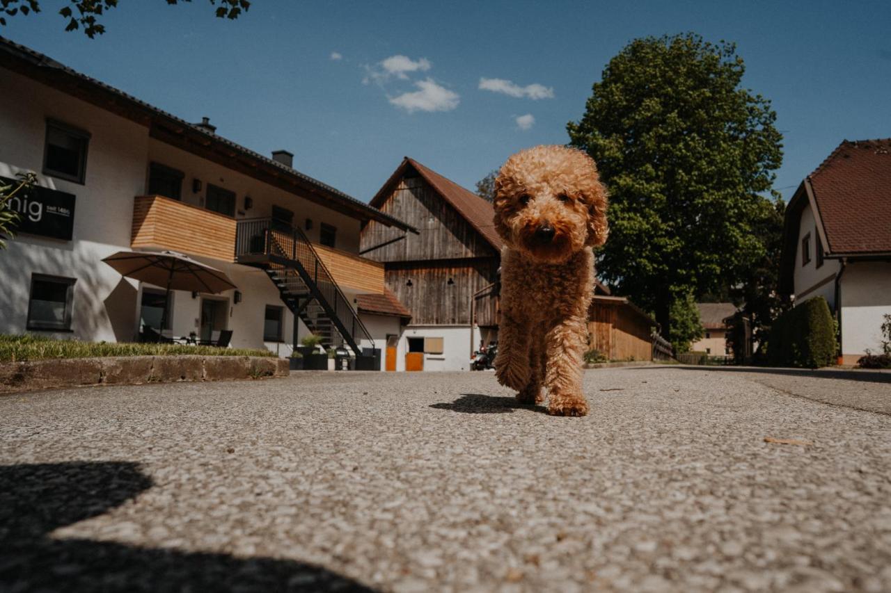 Aprießnig Apartments - B&B Fürnitz