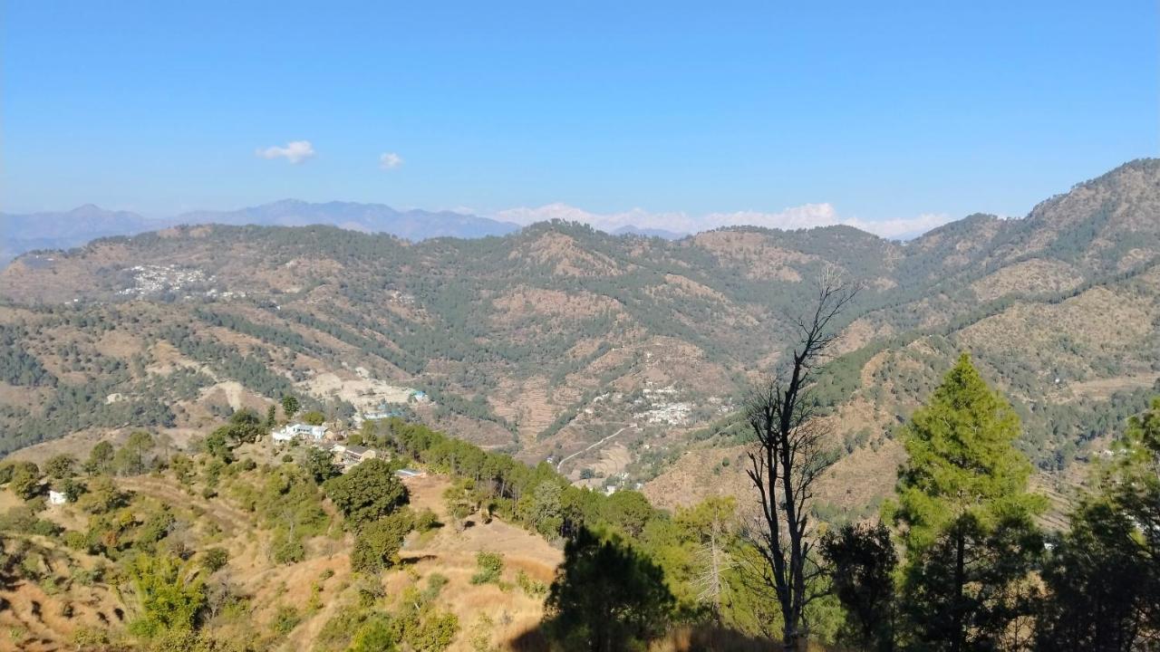 Badri vishal homestay - B&B Phedi