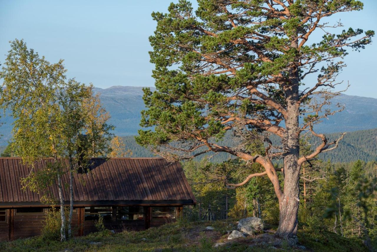 Sørbølhytta by Norgesbooking - cabin in Flå, close to Bjørneparken - B&B