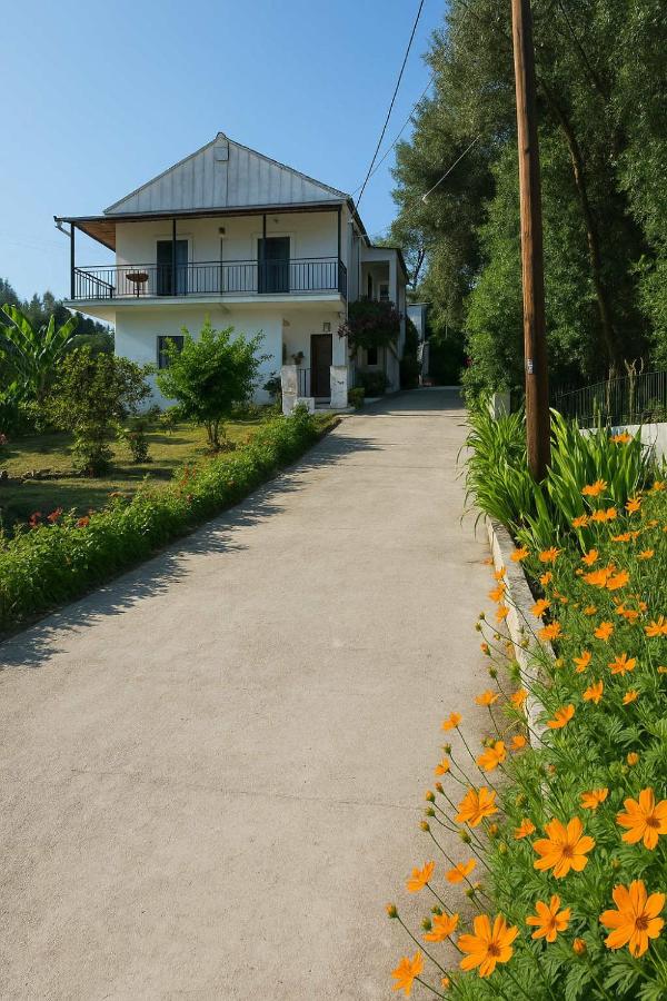 Secluded Serenity - A Tranquil Suite in Corfu - B&B