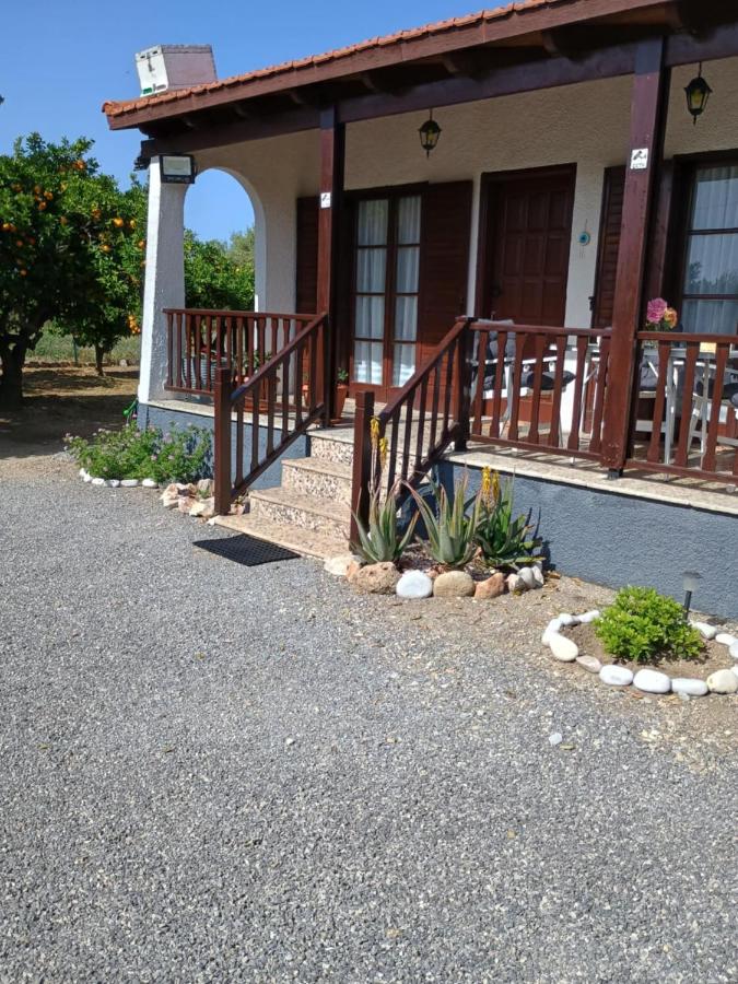 Joanna's House - B&B