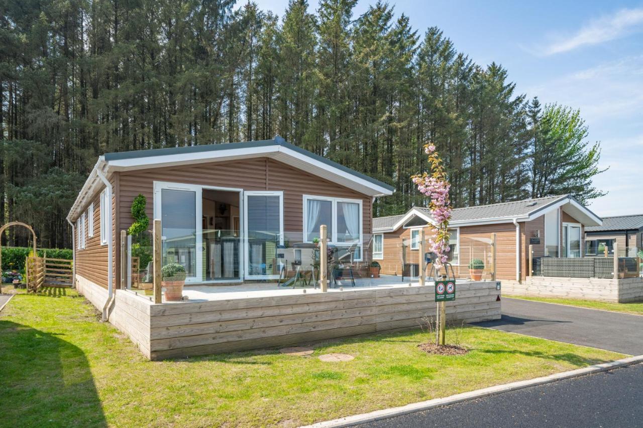 Antler Lodge - Meadows Retreat Lodge Park - B&B Plumbland