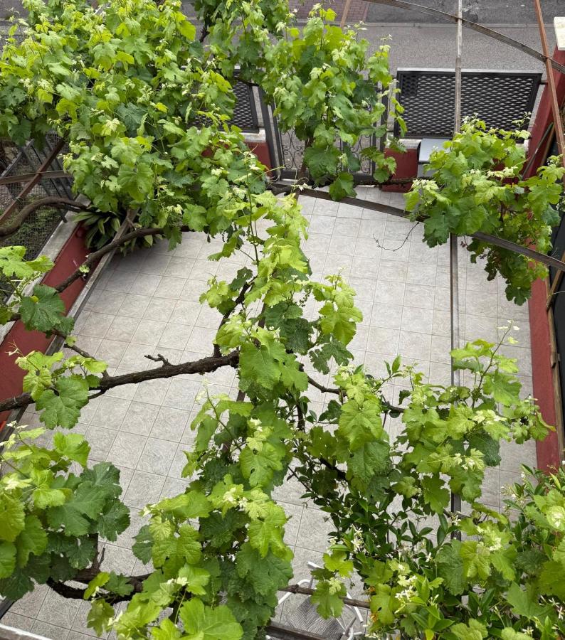 Pirandello Rooms - Ferienwohnung Verona