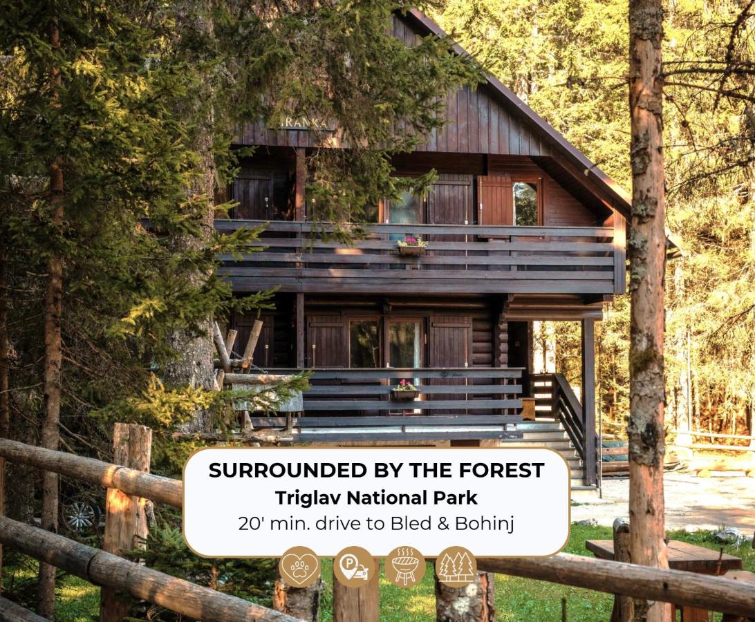Forest Apartments Pokljuka - Ferienwohnung Zgornje Gorje