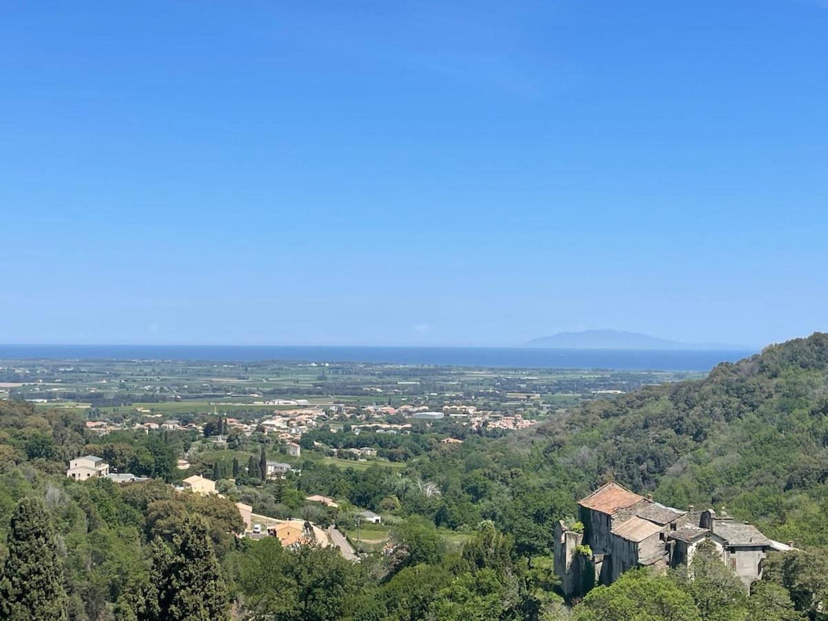 Charming apartment in Corsican Village - B&B