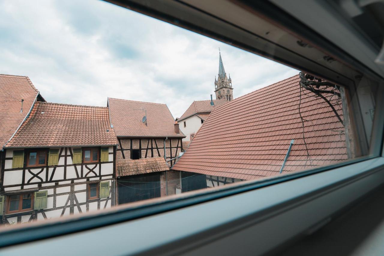 APPARTEMENT DAISY - Au Calme des Vignes - Parking privatif & Animaux Bienvenus - B&B Dambach-la-Ville