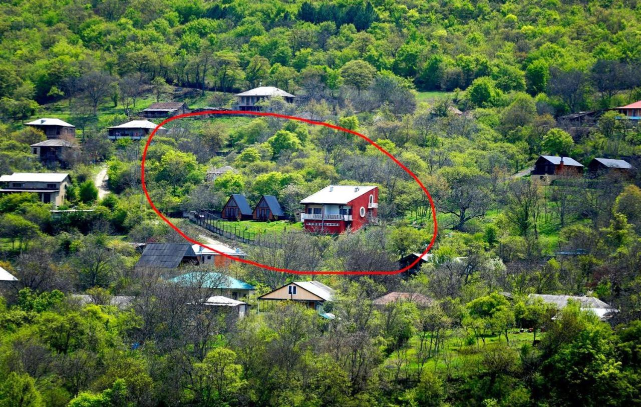 Gudaleti Palace Private Countryside Villa near Tbilisi - B&B Kaspi