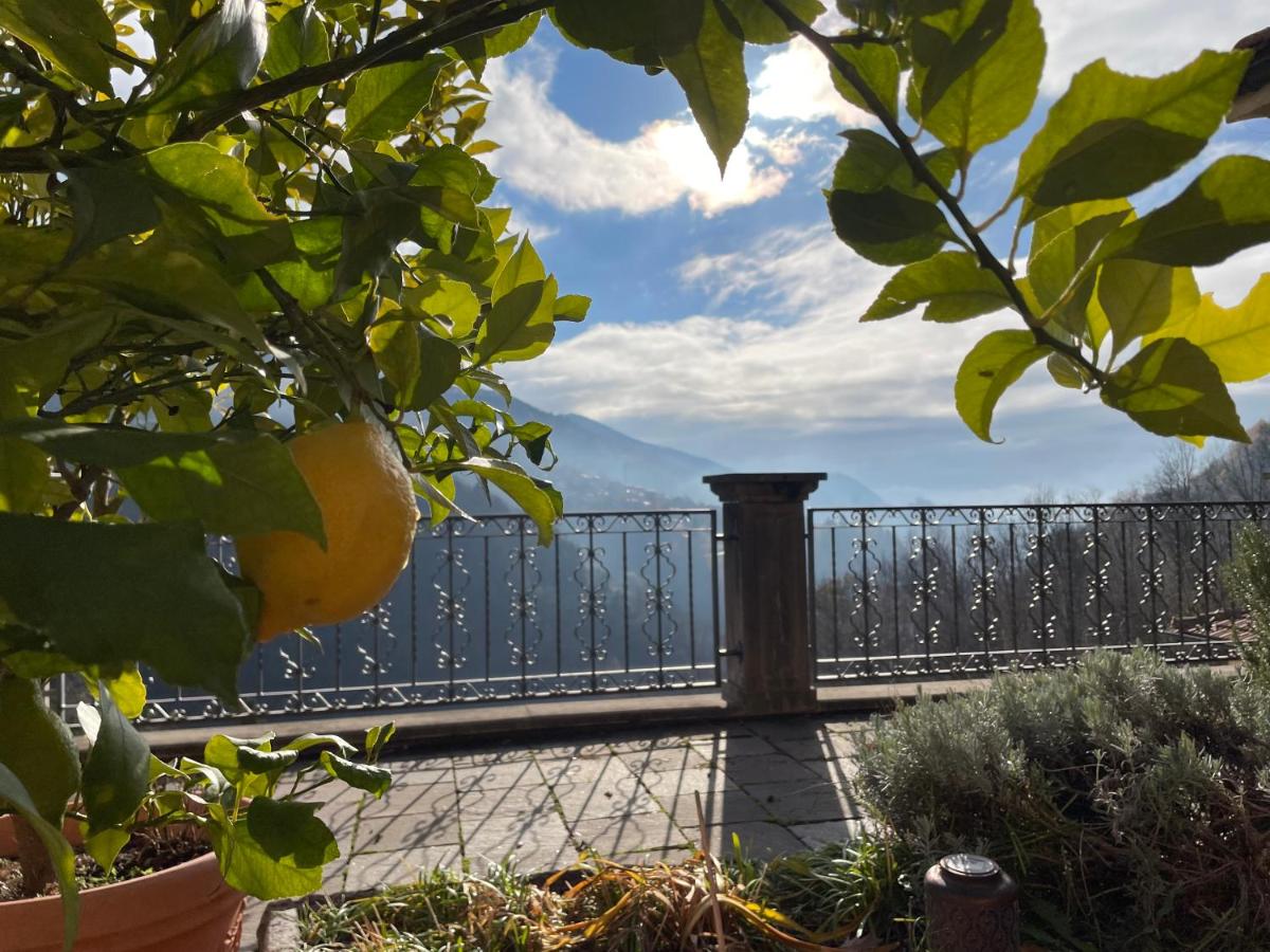 Villa Oleandro - B&B
