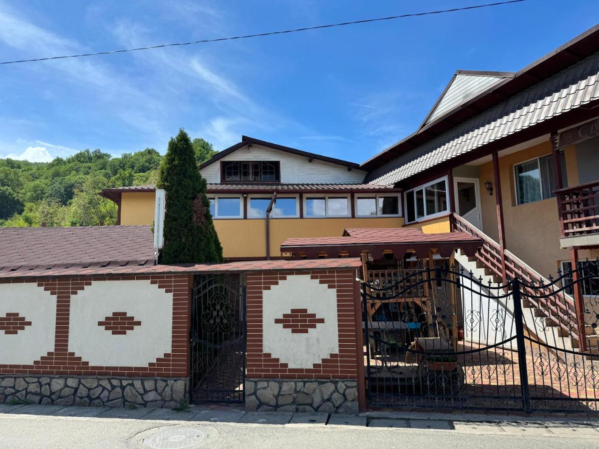 Pensiunea Leo si Georgiana - Chambres d’hôtes Ocnele Mari