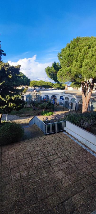 Studio Les Floralies 2 du Grau du Roi - Chambres d’hôtes Le Grau-du-Roi