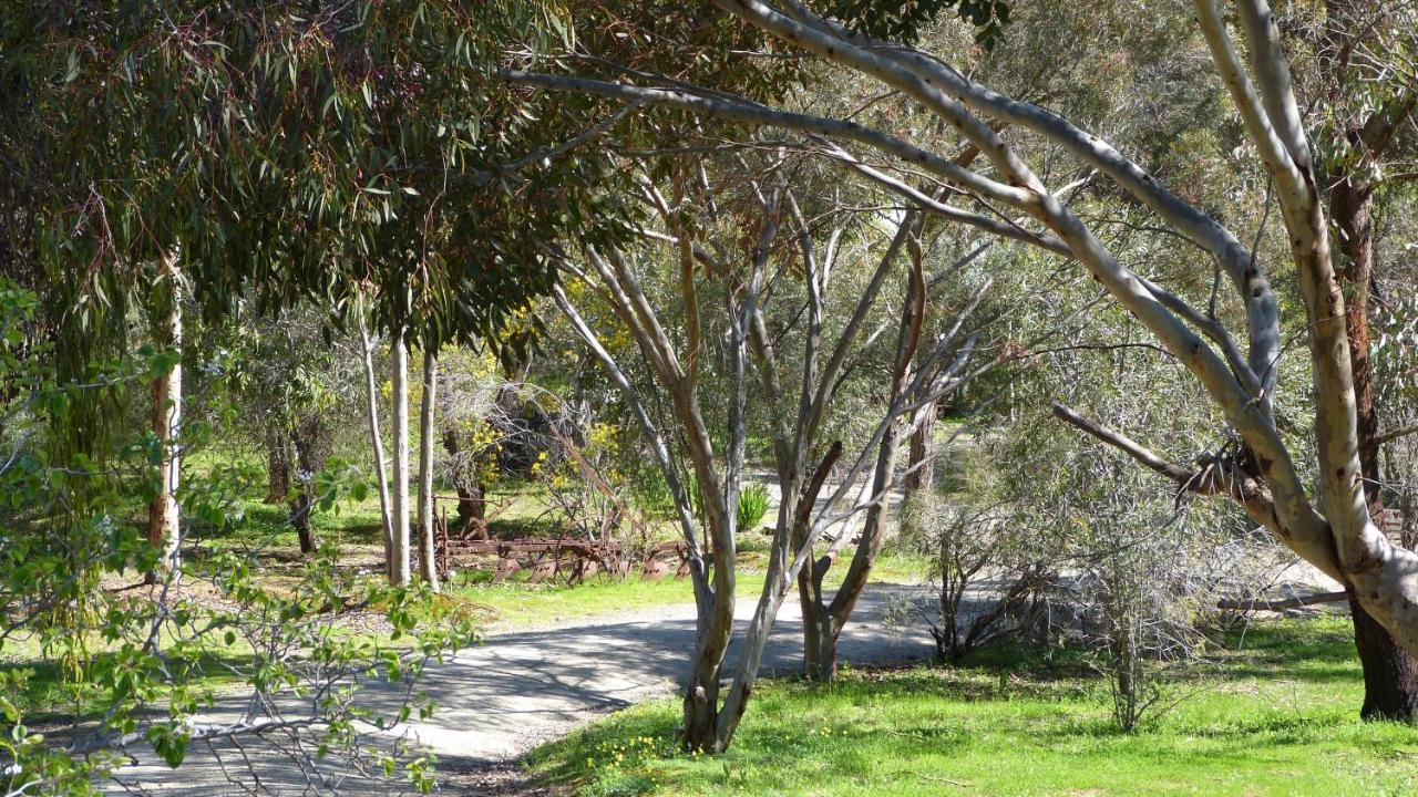 Watervale Retreat - B&B Watervale