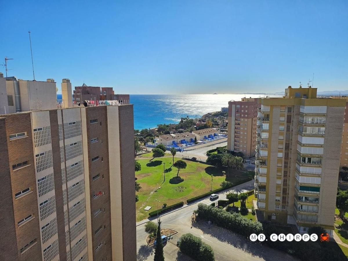 Minion House - Orihuela Costa - B&B Campoamor