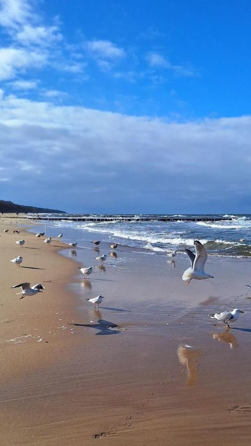 H2O Parter domu z własnym ogródkiem - Chambres d’hôtes Pobierowo
