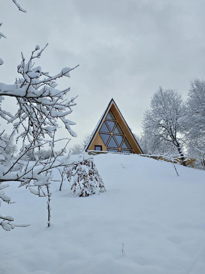 Ilinca Chalet - Bed and Breakfast Botiza