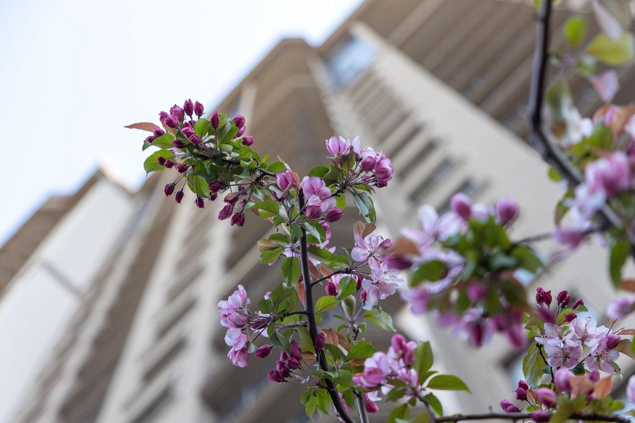 Rodos Arcadia Apartment - B&B Odesa