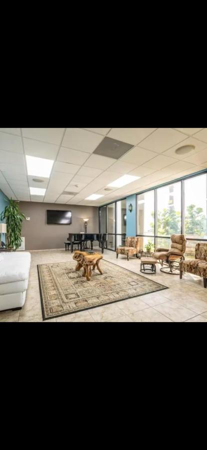 Beautiful renovated oceanfront, Galveston condo- fits up to six people! - Ferienwohnung Galveston