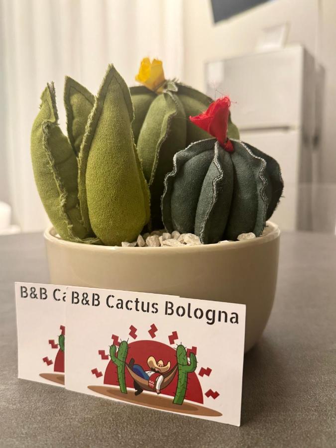 Cactus Bologna Affittacamere - Bed and Breakfast Bologna