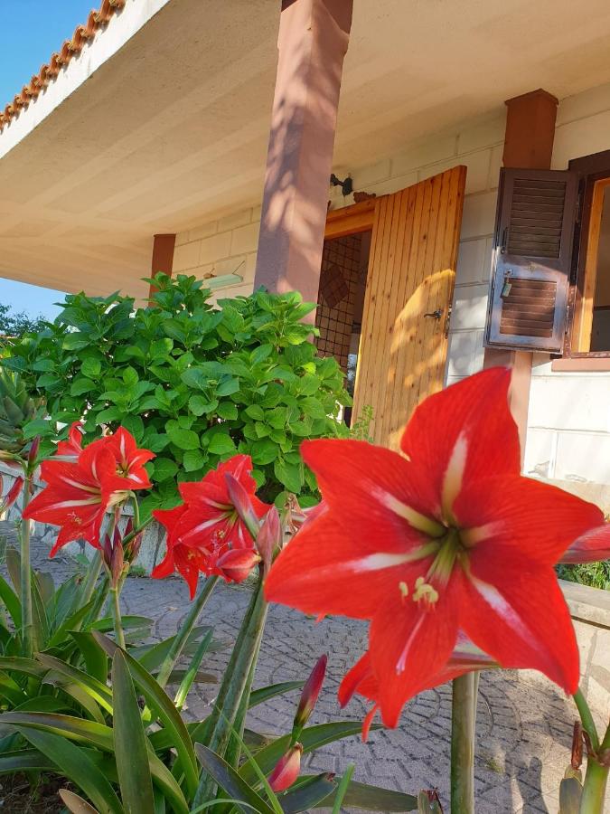 Villetta Mare Australe - Ferienwohnung Ardea