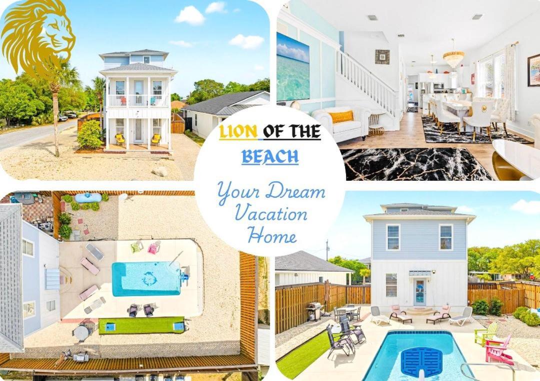 Lion of the Beach - B&B