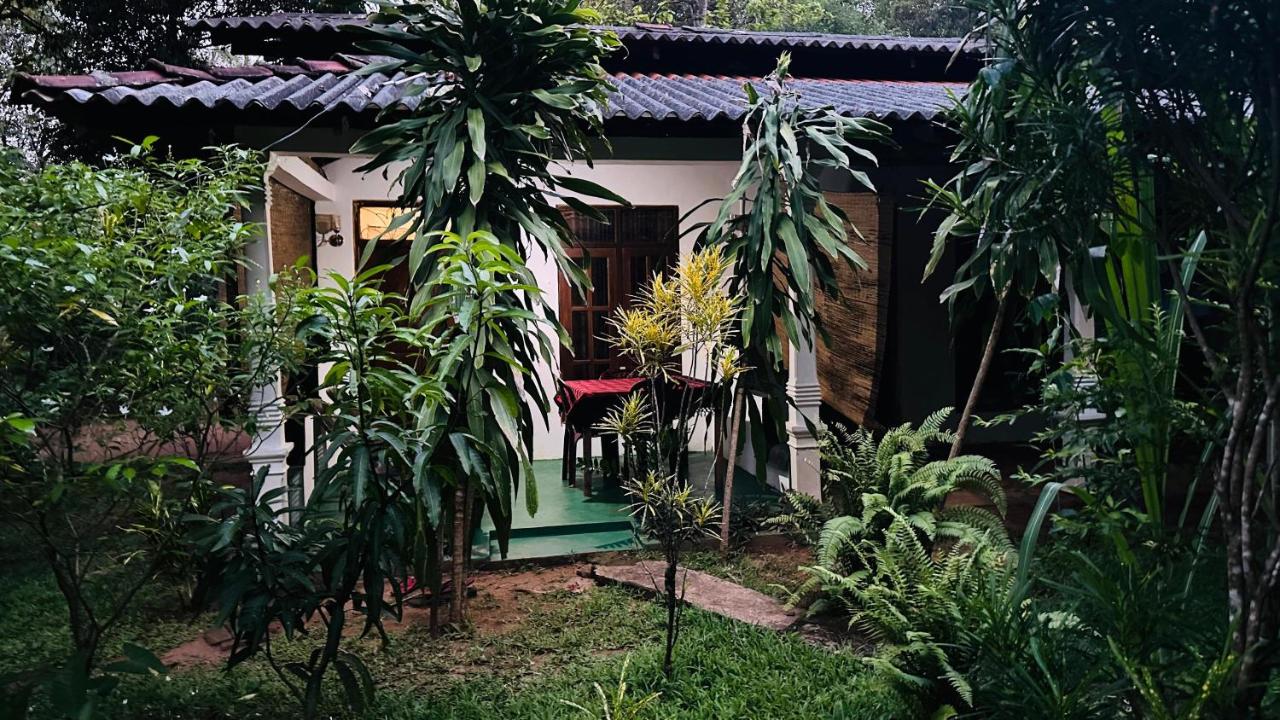 Sigiriya Sachin Lodge - B&B