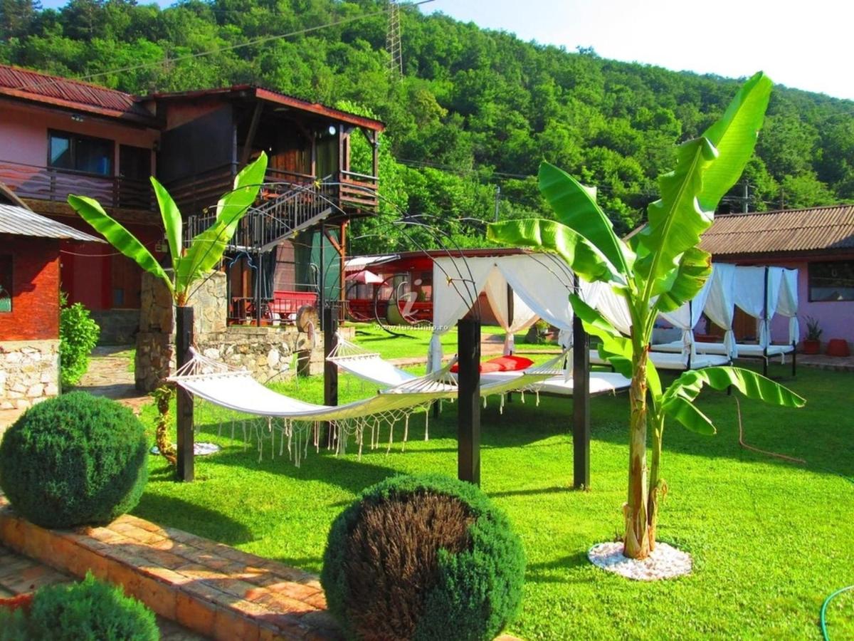 Cabana Ogradena - B&B