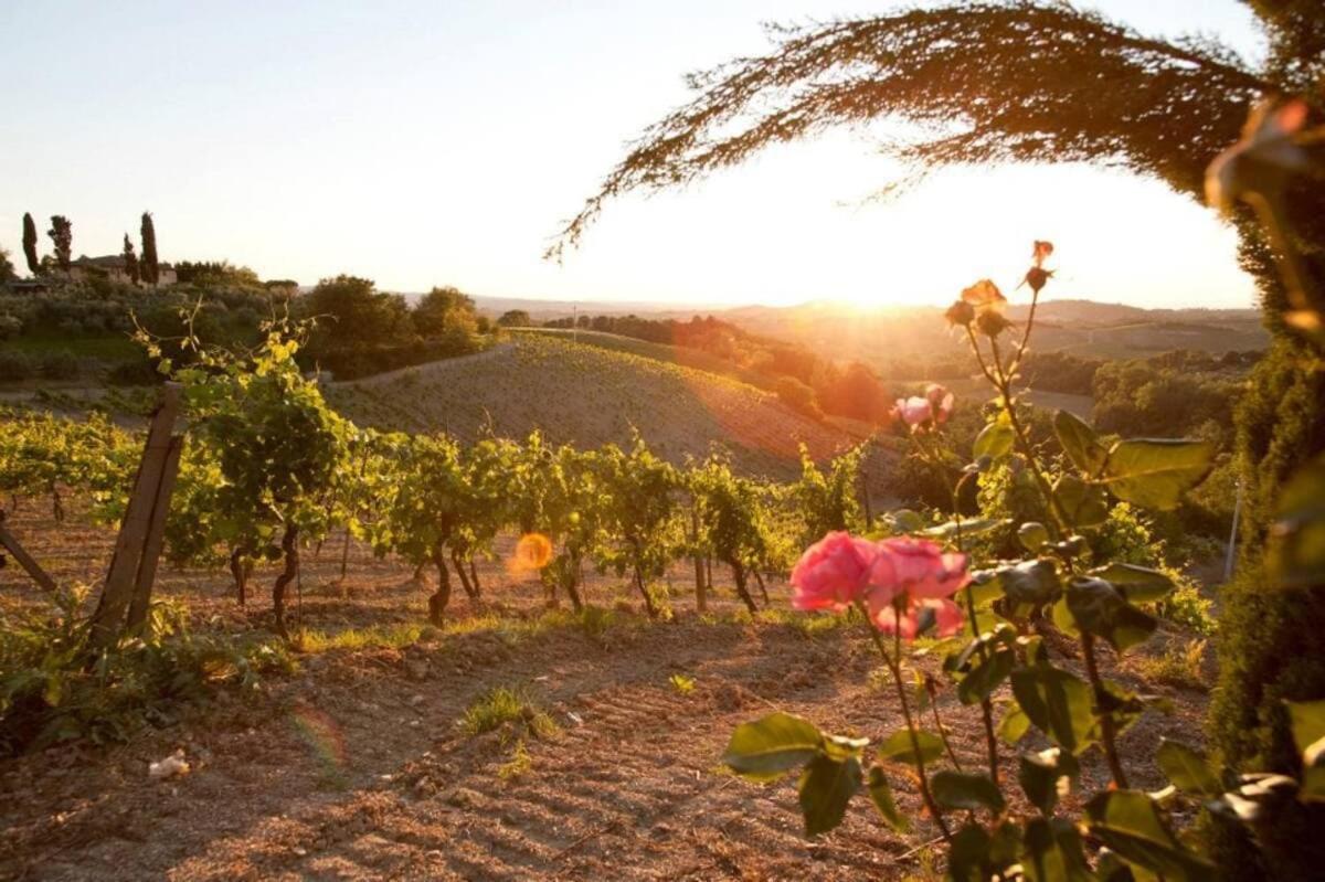 Appartamento Aster - Azienda Agricola Sotto il Masso - B&B
