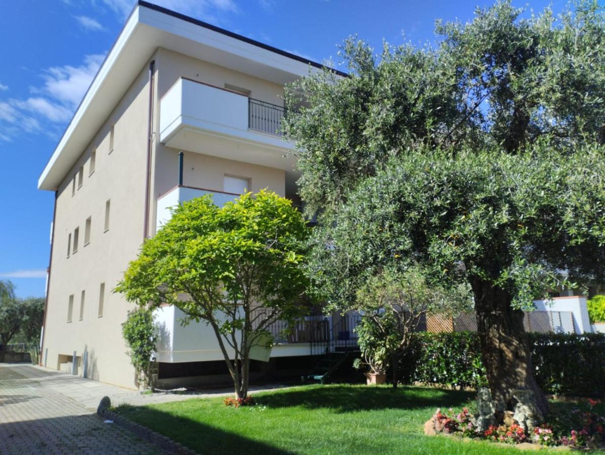 Appartamenti Mimosa - B&B