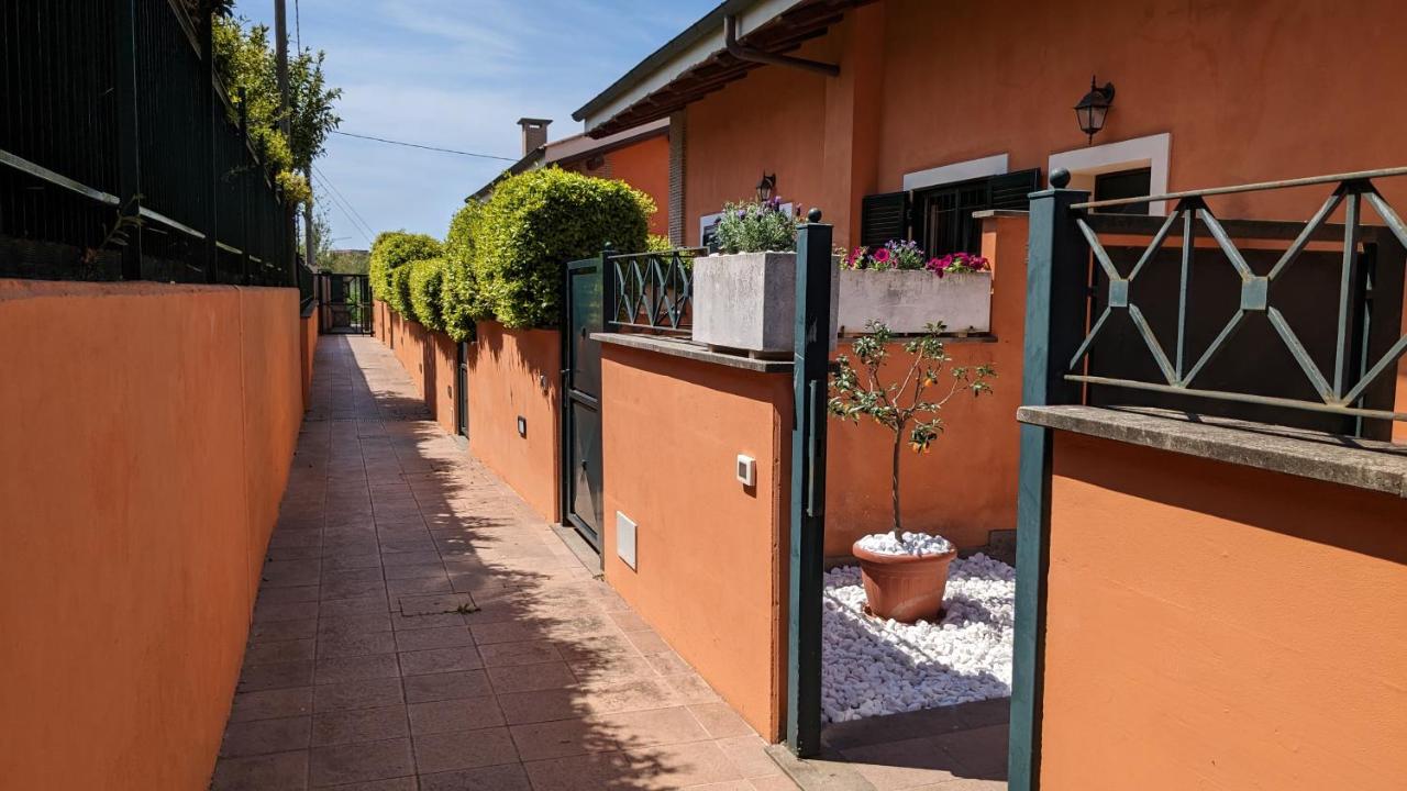 DOMUS Emy - intera casa a piano terra con giardino e posto auto - B&B Ciampino