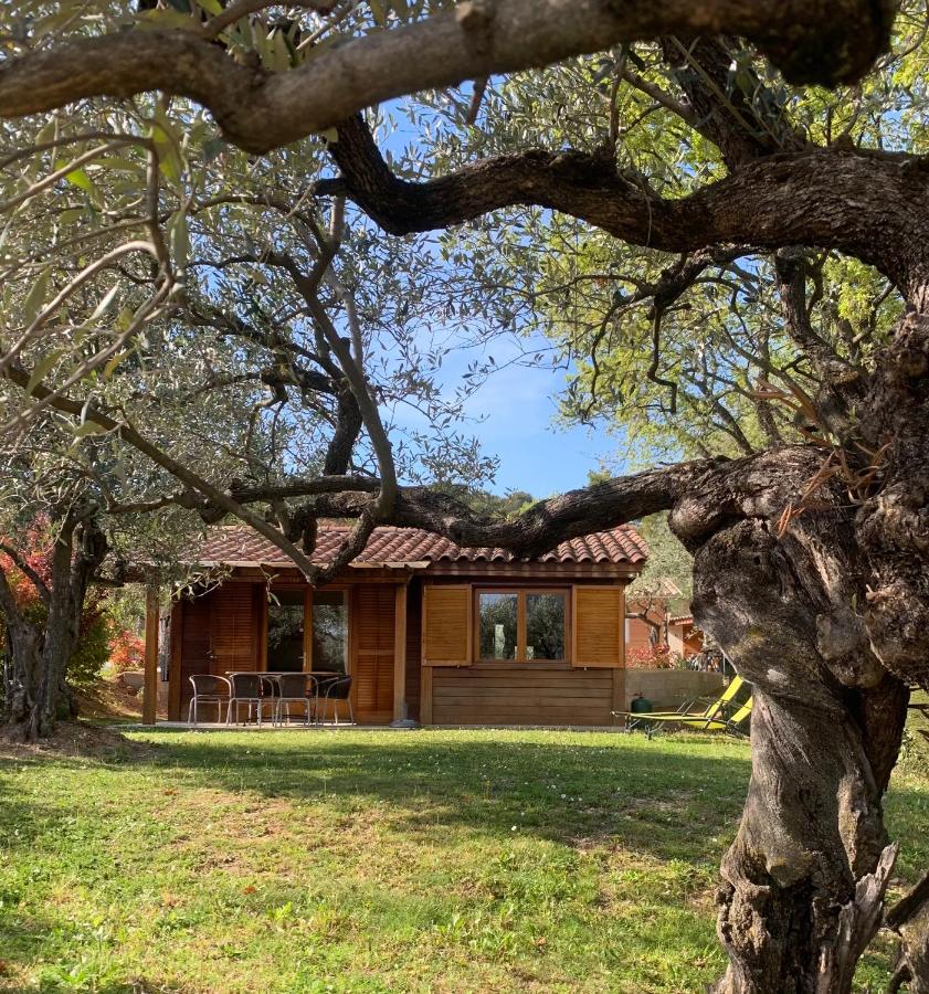 Casa Vacanze