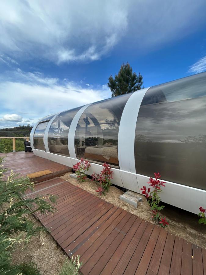 SKD Suite Rioja - Bed and Breakfast