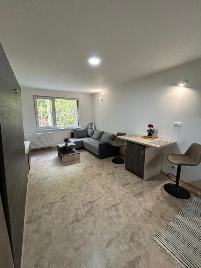 Apartmán pod Jáchymovem - Ferienwohnung Karlsbad