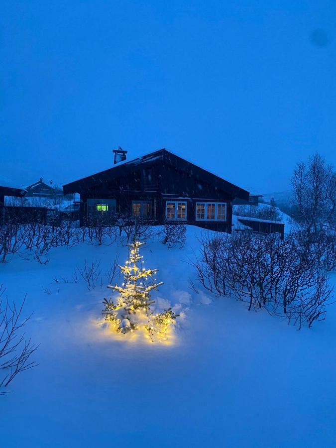 Family cabin & Guest favourite, near Hardanger and Vøringsfossen - Chambres d'hôtes Maurset