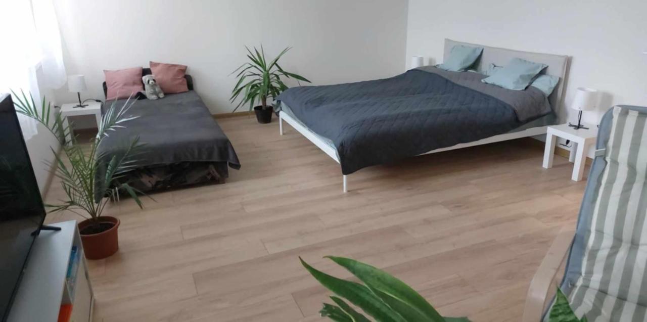 Konstantin Apartman - B&B