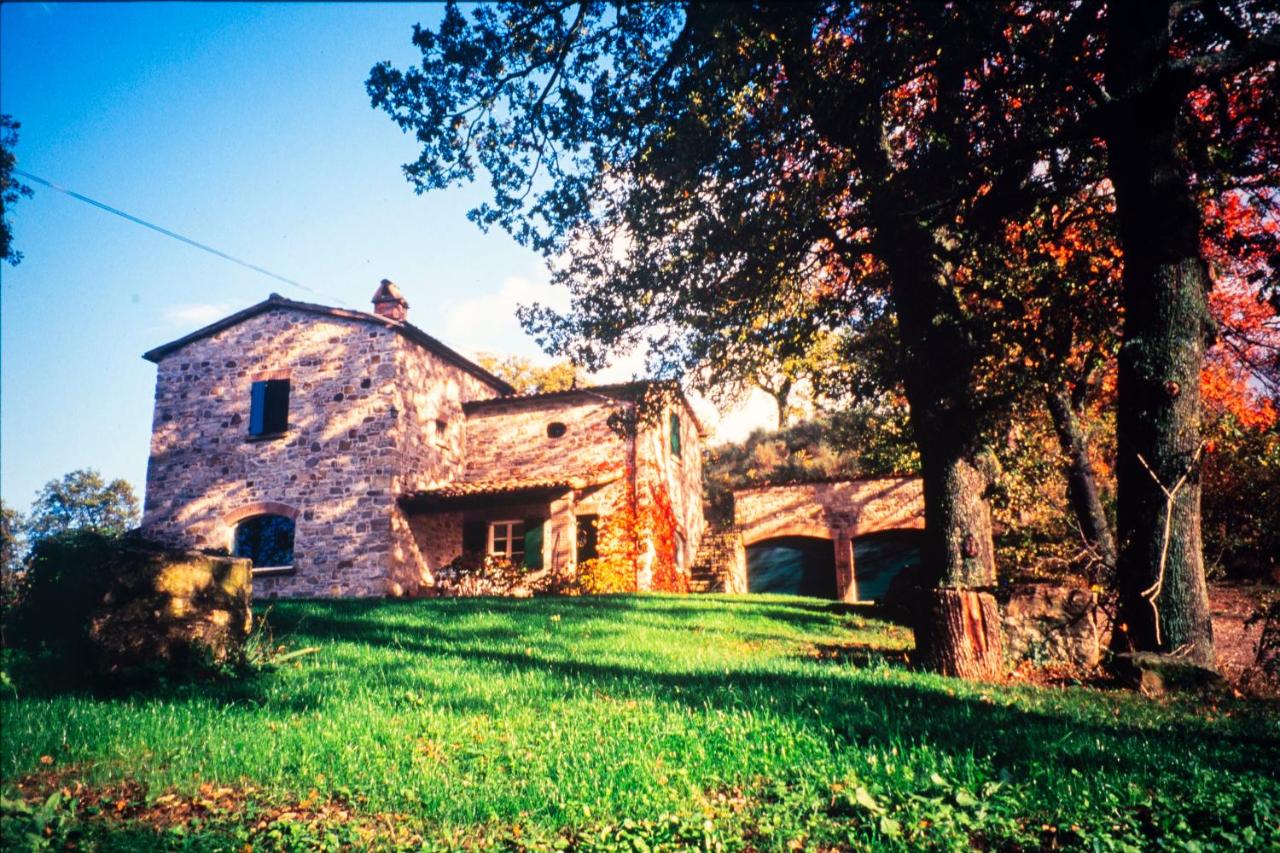 Le Mille Querce - B&B Sassofeltrio