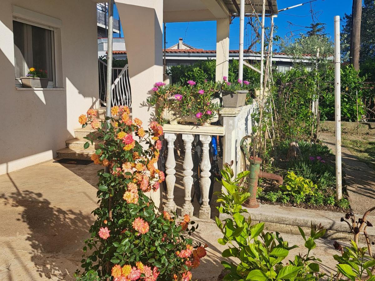 Apartman Daniel's - B&B