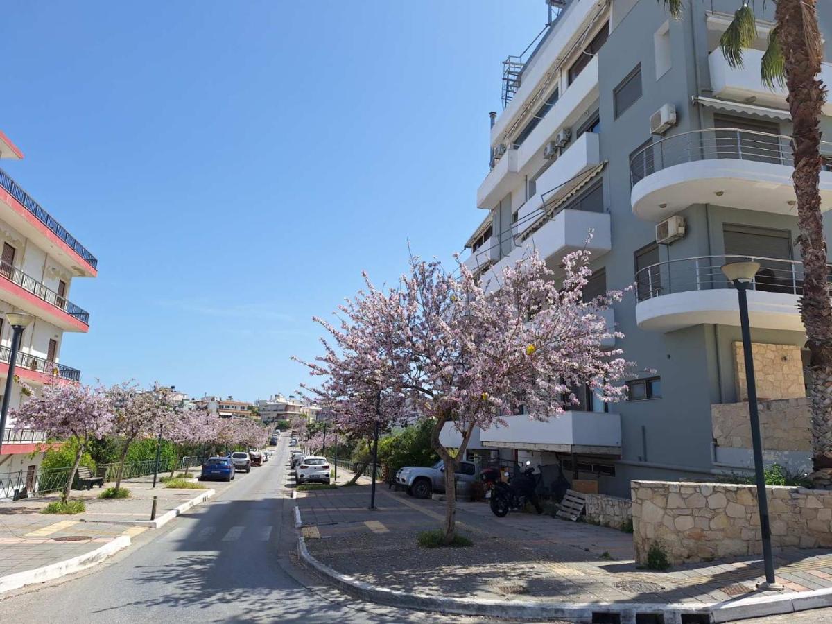 Iriana's Apartments in Center - Bed and Breakfast