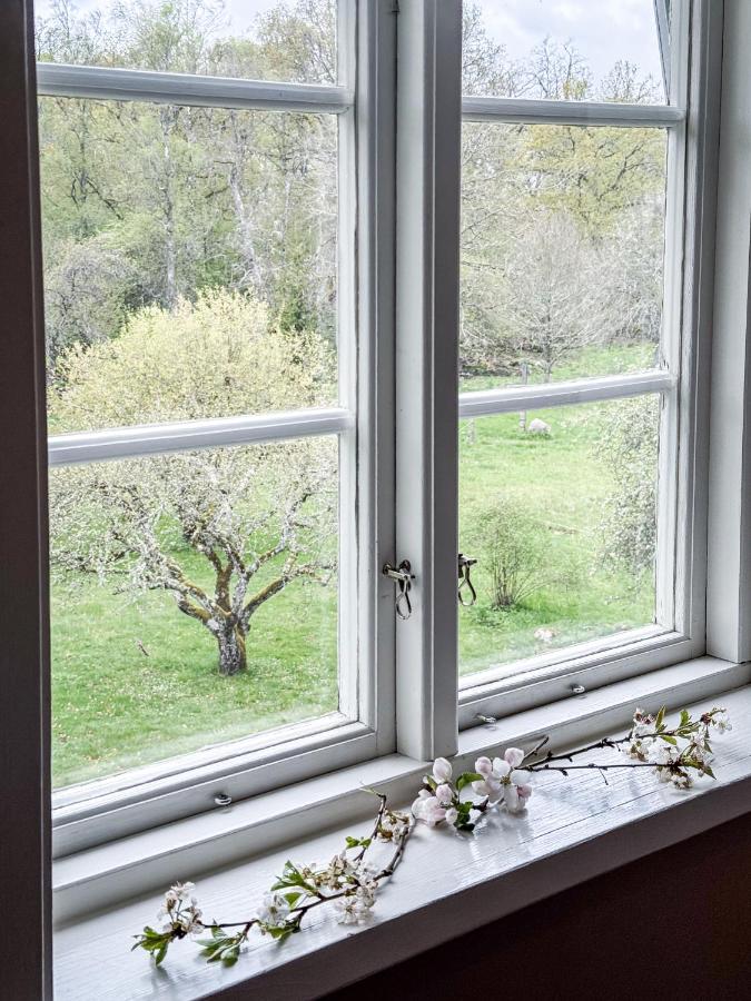 Single Room with Garden View