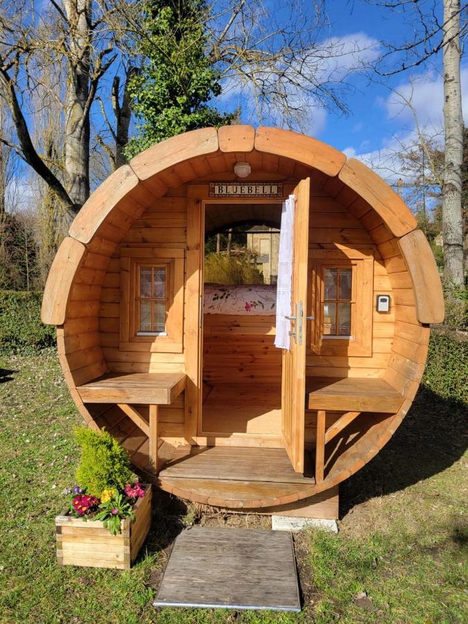 Small cosy Bluebell cabin in the French countryside - B&B Abilly