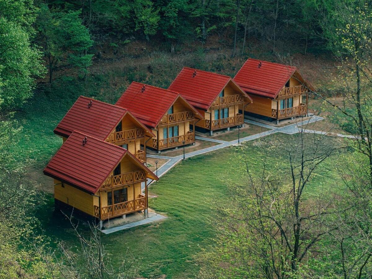 Agro Domki Pod Jesionem - B&B Kudowa-Zdrój